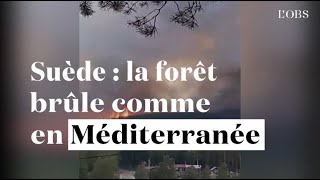 En Suède, la forêt brûle comme en Méditerrannée