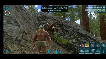 easy tame, how to tame gallimimus in ark mobile #ark #arkmobile #arksurvivalevolved