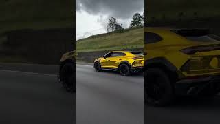 Liberdade pro 🅱️🥷#mandrake #grau #lacoste #mandrakechavoso #favela #grauderua #explore #buzeira