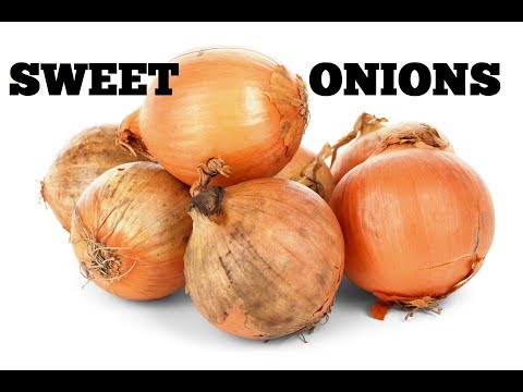 Tips for growing Sweet Onions