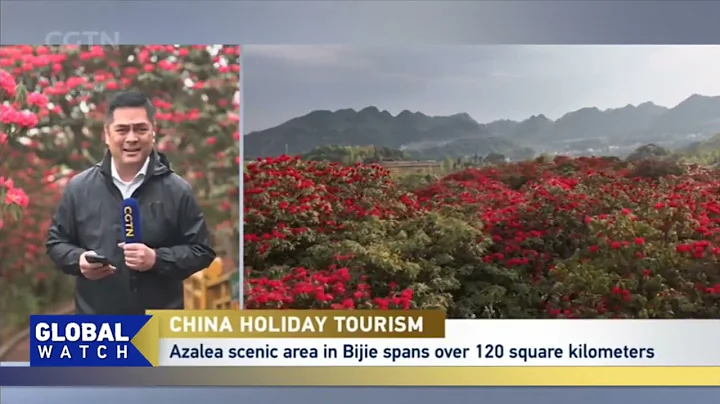 CGTN anchor Martin Andanar enjoys the spring blossoms in Bijie of southwest China's Guizhou province - DayDayNews