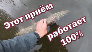 НА ЧТО ПОЙМАТЬ ОСЕННЮЮ ЩУКУ !!! Беспроигрышный Вариант ДЛЯ ЩУКИ в холодной воде. Рыбалка на спиннинг