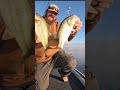 🤫 The Ultimate Topwater Trick! 🤫