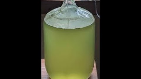 Introduction to the algae carbon capture project
