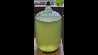 Introduction to the algae carbon capture project