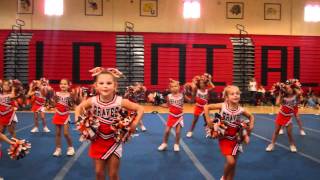 Madison Tiny Mites Cheer Competition