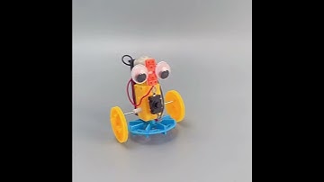 [Đồ Chơi STEM] Robot Đi Bộ