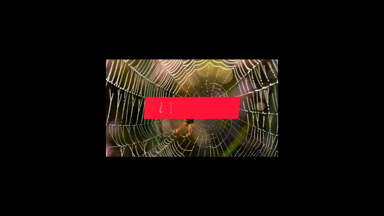El material m s resistente youtube