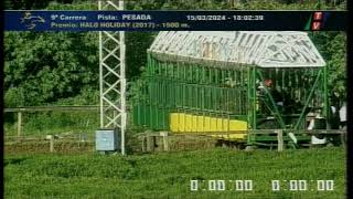 Carr.9 Premio Halo Holiday 2017 1503202499