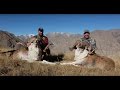 Magnum TV S6:E23 - Kyrgyzstan Part III: Marco Polo