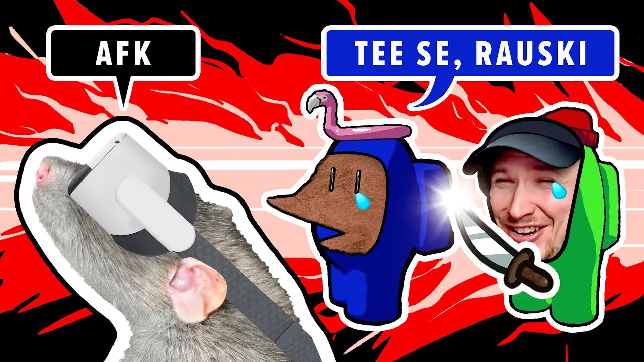 Älä koskaan luota Ruhoon | VR Among Us w/ @TINKETINKE @ALHA @SilliS @LaeppaVika