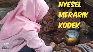 Nyesel Merarik Kodek | Film Sasak terbaru