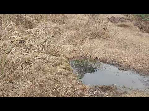 20250707 131013 Nabisunsa Stream July 7 2025