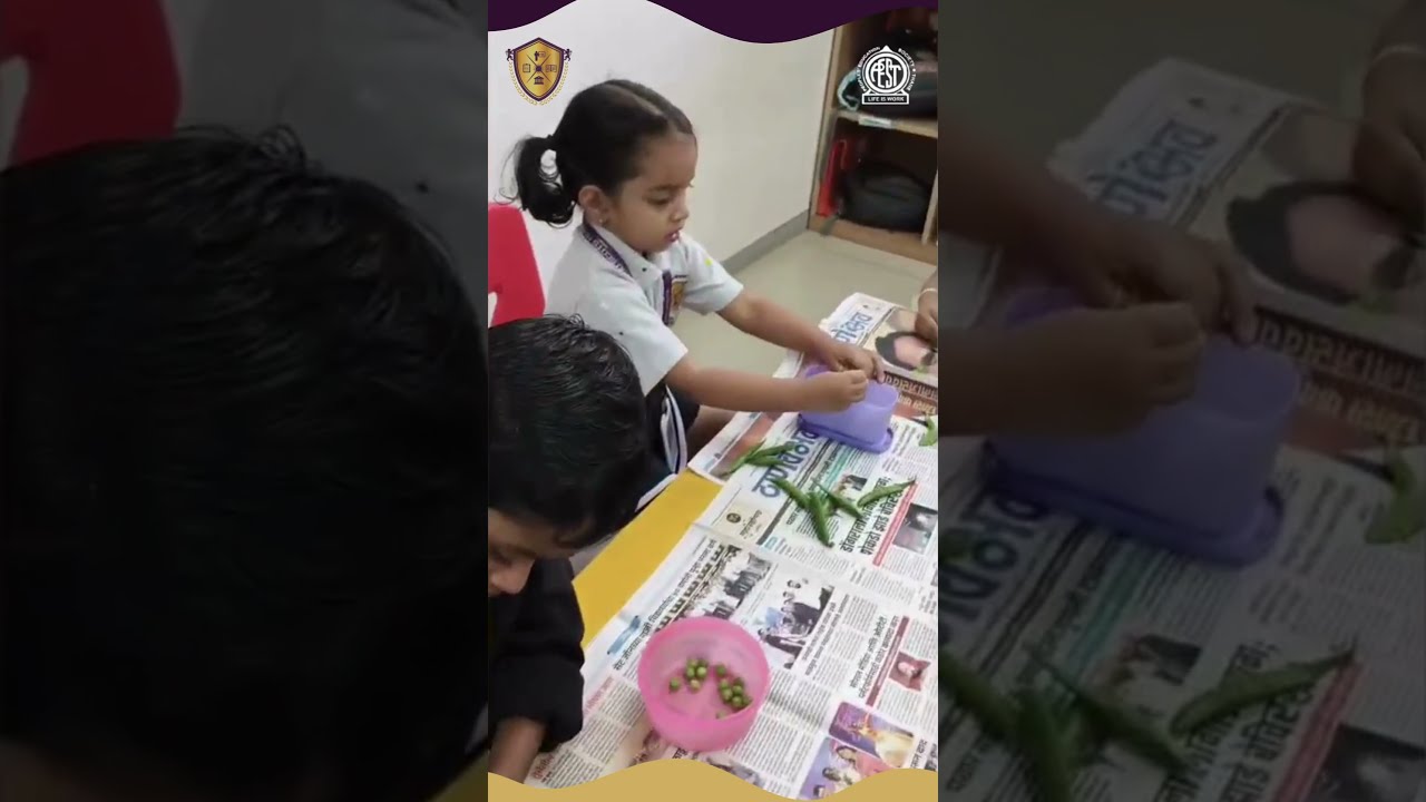 Tiny hands, big focus 🫛🫛#indoscots #indoscotsglobalschool #indoscotsglobalschoolthane