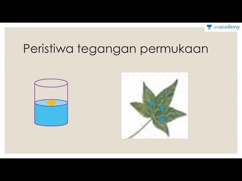 Tegangan Permukaan (Fisika - SMA)