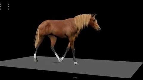Advanced Horse Control for Unity 5 WIP