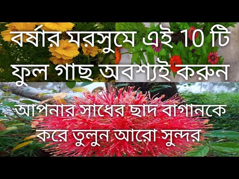 ভিডিও: কাটা দ্বারা বারবেরি বংশ বিস্তার: বাড়িতে গ্রীষ্মে কাটা। শরৎ এবং বসন্তে কীভাবে প্রচার করা যায়? সহজ উপায়