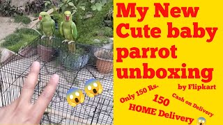 My New cute baby parrot unboxing 🥰 #online #parrot