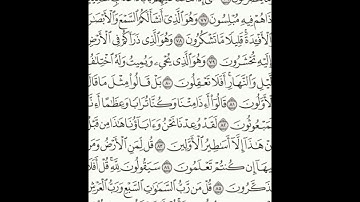 سورة المؤمنون 75-89 (٣٤٧)     Sheikh Anas AlHibri