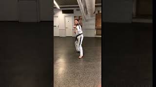 2nd Kup   Jumping Front Snap Kick