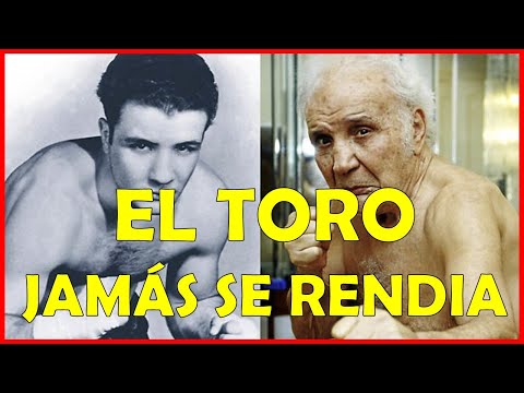 EL “TORO SALVAJE” Jake LaMotta ♉ UN BOXEADOR QUE JAMÁS RETROCEDIA