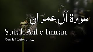 Surah Aal-e-Imran سورة آل عمران - Obaida Muafaq عبيدة موفق - Quran Voice