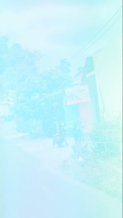 swiss van java desa tempur #shorts