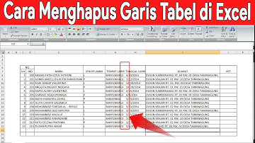 cara menghapus garis tabel di excel