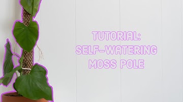 Self Watering Moss Pole
