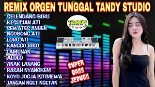 REMIX ORGEN TUNGGAL TANDY STUDIO❗Lagu terhits Tahun 2025❗Selendang biru, Lamunan, Kesucian ati