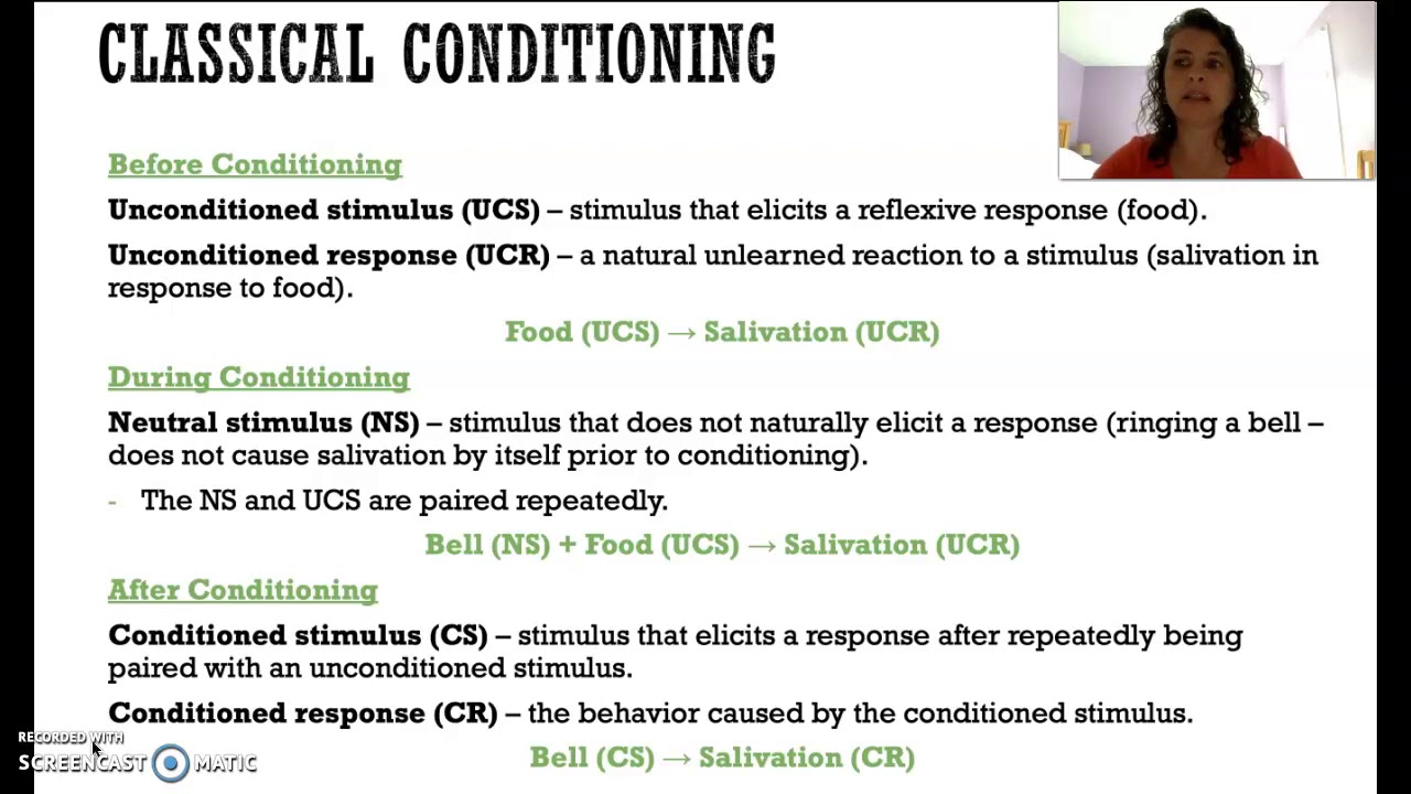 Classical Conditioning YouTube