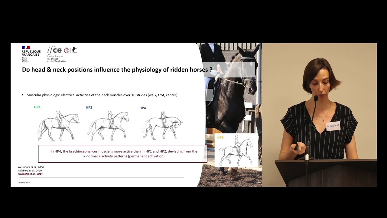 PhD Alice Ruet ( IFCE ) - Replay International Meeting Stop ...