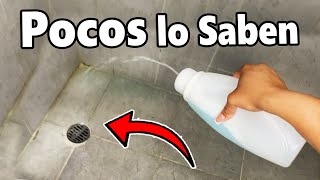 TRUCO fácil para Eliminar el MOHO y el sucio de TU BAÑO