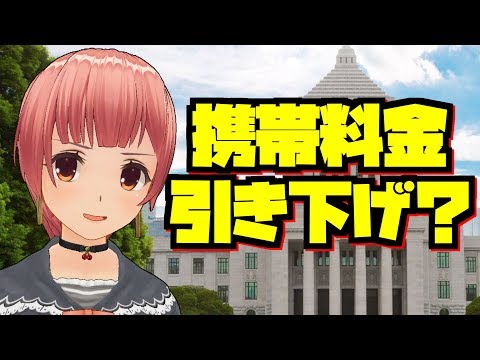 佐喜真さん、その公約で大丈夫ですか？(沖縄県知事選2018)【バーチャルYoutuber みーちゃん】