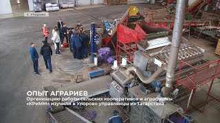 Опыт работы агрофирмы «КРиММ» и сельских кооперативов изучили управленцы из Татарстана
