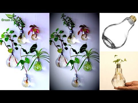 ვიდეო: ბოლქვიანი ქილების მცენარის საყრდენი - რჩევები მცენარეების დასამაგრებლად ქილებში