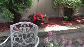 Backyard Tour 2016