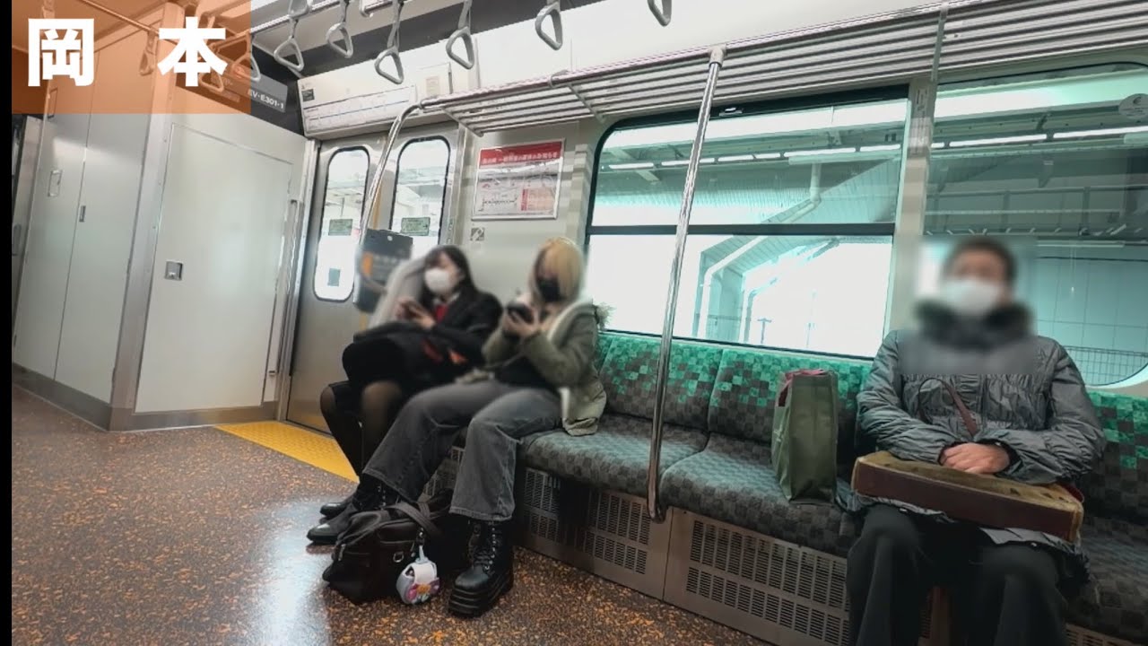 宇都宮線 EV-E301系 三菱IGBT-VVVF 走行音・車内 (宝積寺 ▶︎ 宇都宮)