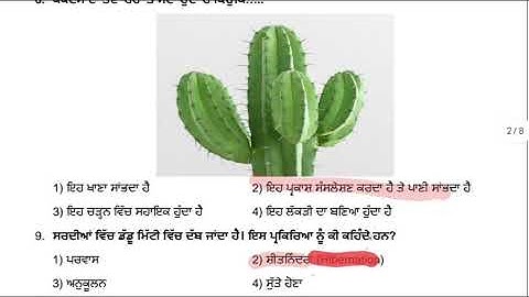 CEP CLASS 6 SCIENCE ASSIGNMENT -4 PUNJABI MEDIUM FULLY SOLVED