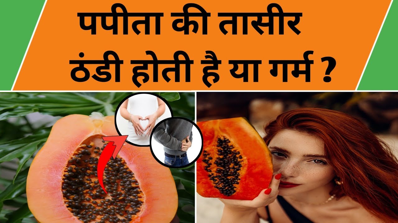 Papita ki Taseer पपीते की तासीर ठंडी है या गर्म पपीता खाने के फायदे