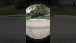 Beautiful tree tho￼