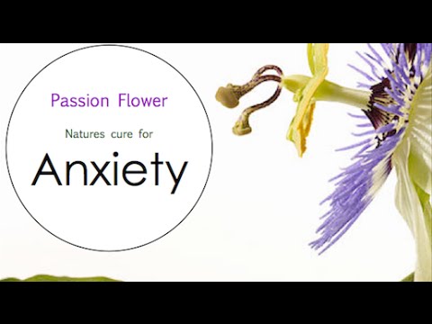 Passion Flower benefits for Anxiety - Herbal Medicine
