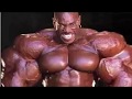 اقوى رجل بالعالم يحمل نصف طن💪🏻 لايفوتك!!