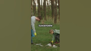 The best sustainable forestry ways #facts #sustainable