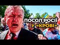 ПОСОЛ ОТРИМАВ ПО ЗАСЛУГАХ: на ваших руках кров тисяч українців! / українська активістка ЗЕМЛЯНА