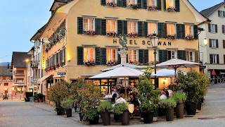 Romantik Hotel Schwan Horgen Switzerland  Travel With Geetika