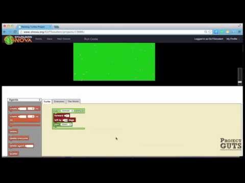 Painting Turtle Challenge