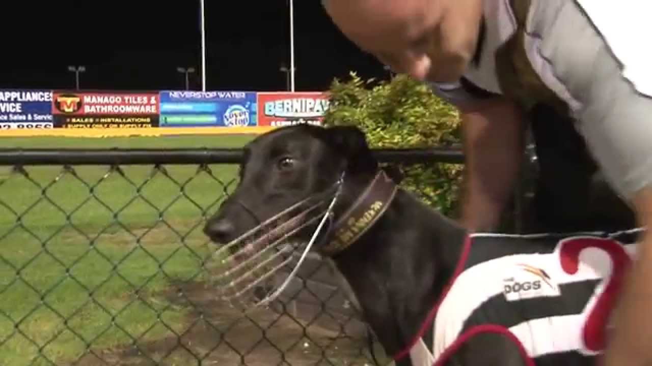 Jagger's Year Of Swagger YouTube