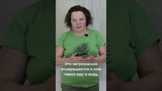 Когда лекарство превращается в яд? #ecology #экология