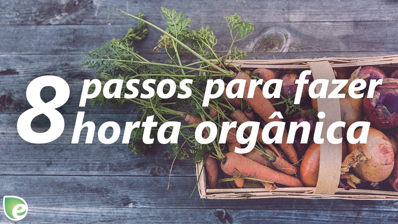 Oito passos para fazer sua horta orgânica